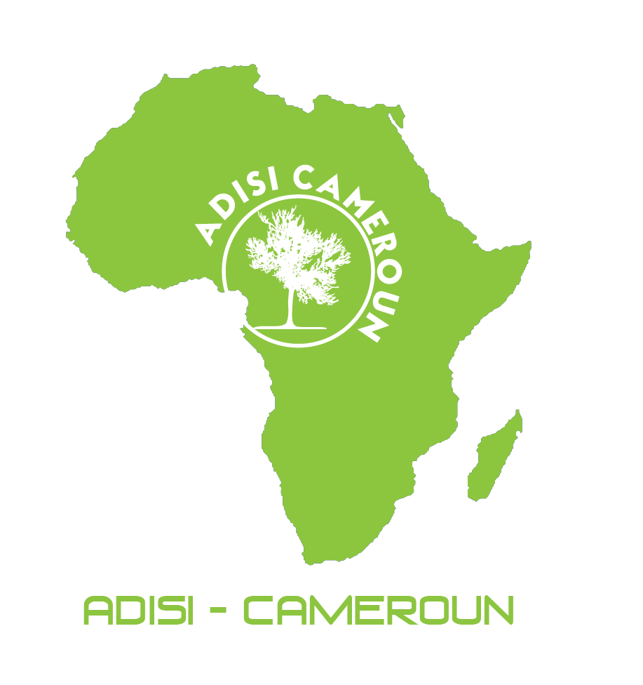 ADISI-CAMEROUN